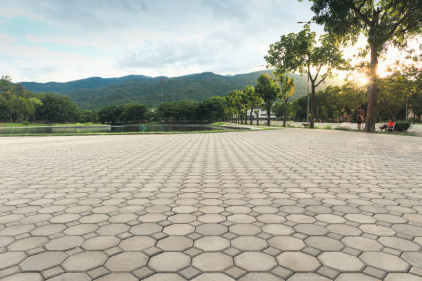 Best Driveway Pavers Near Me  in Pitman, NJ