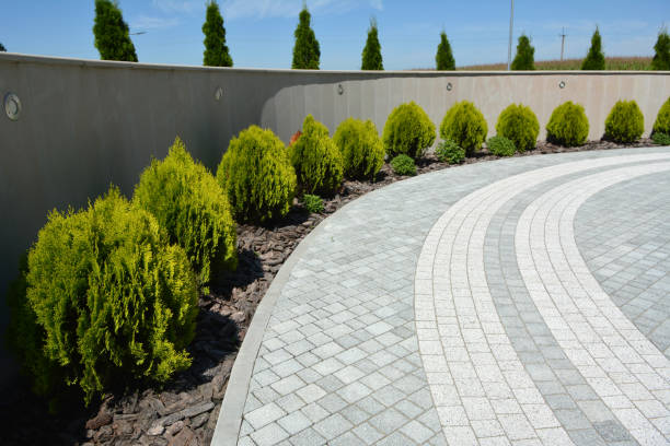 Best Driveway Paving Contractor  in Pitman, NJ